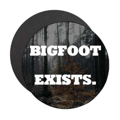 bigfoot exists magnet