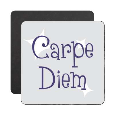 carpe diem magnet