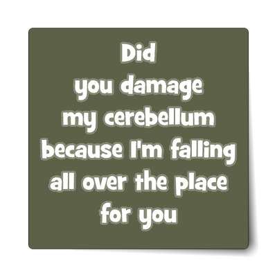 did you damage your cerebellum because im falling all over the place for yo