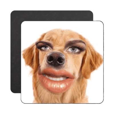 dog woman magnet