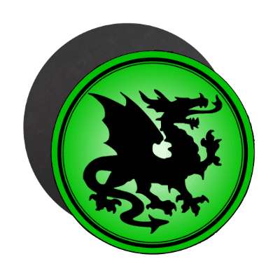 dragon green rings magnet