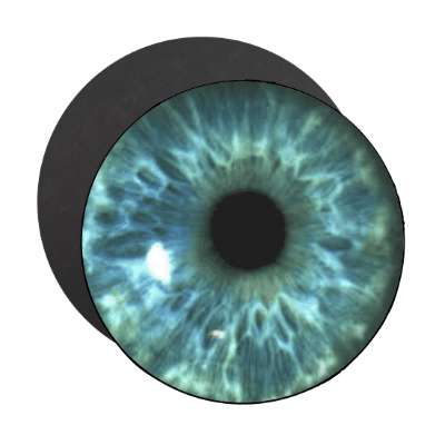 eye iris close up magnet