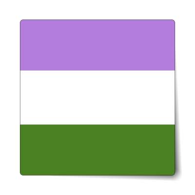 genderqueer pride flag sticker