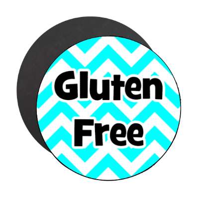 gluten free aqua zig zag magnet