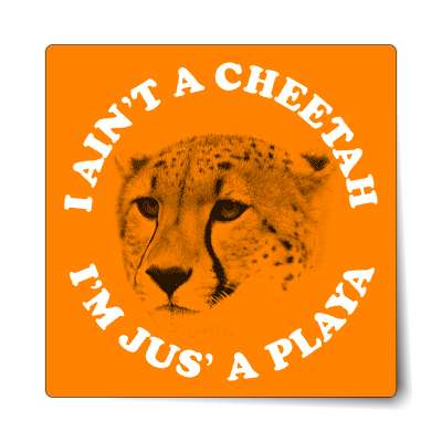 i aint a cheetah im just a playa sticker