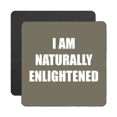 i am naturally enlightened affirmation magnet