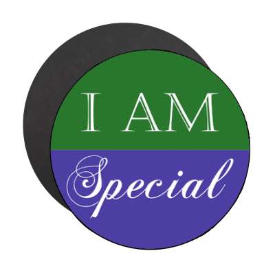 i am special affirmation magnet