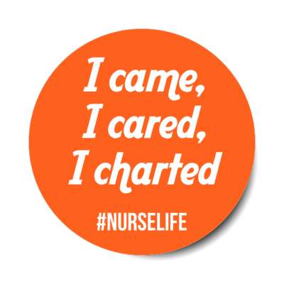 i came i cared i charted orange stickers, magnet