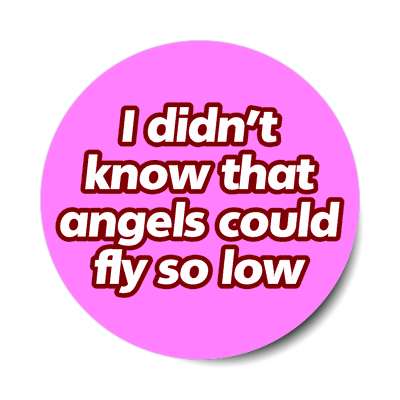 i didnt know that angels could fly so low sticker