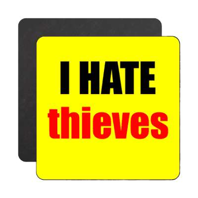 i hate thieves magnet