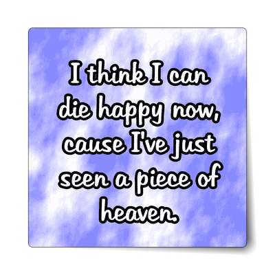 i think i can die happy now cause ive just seen a piece of heaven sticker