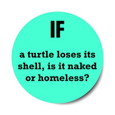 if a turtle loses its shell, is it naked or homeless stickers, magnet