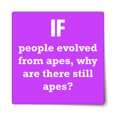 if people evolved from apes why are there still apes sticker