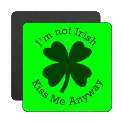im not irish kiss me anyway magnet
