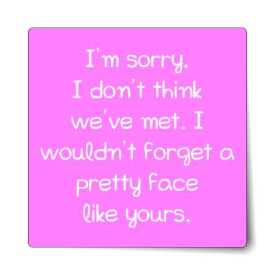 im sorry i dont think weve met i wouldnt forget a pretty face like yours st