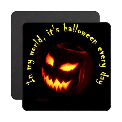 in my world its halloween every day magnet