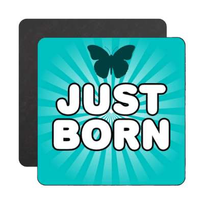 just born blue green rays butterfly silhouette magnet