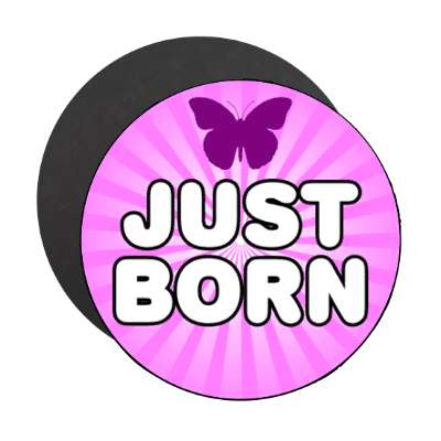 just born butterfly silhouette magenta rays magnet