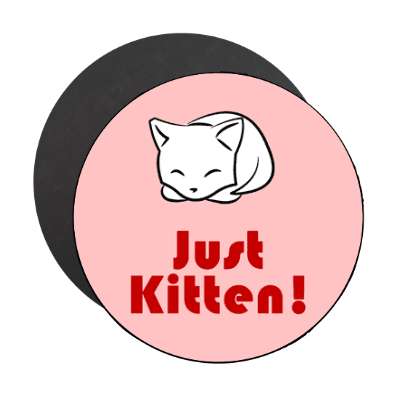 just kitten stickers, magnet
