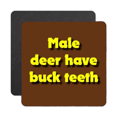 male deer have buck teeth magnet