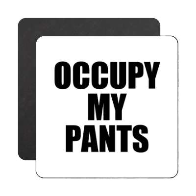 occupy my pants magnet
