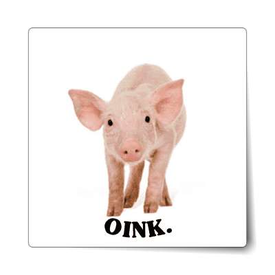 oink cute piglet sticker