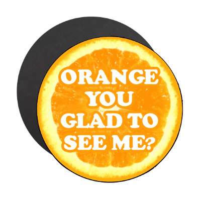 orange you glad to see me magnet
