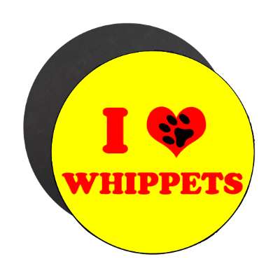 paw prints i heart whippets magnet