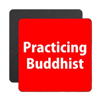 practicing buddhist magnet