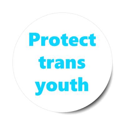 protect trans youth stickers, magnet