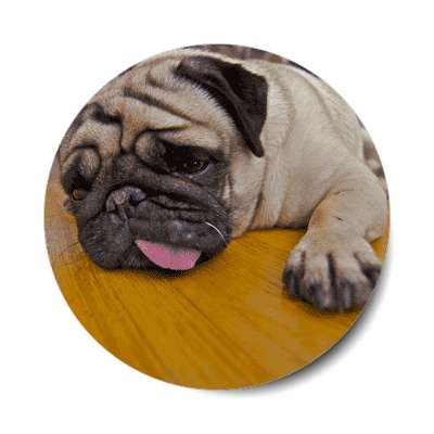 pug far shot sticker