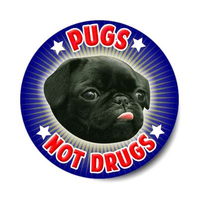 pugs not drugs sticker