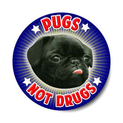 pugs not drugs sticker