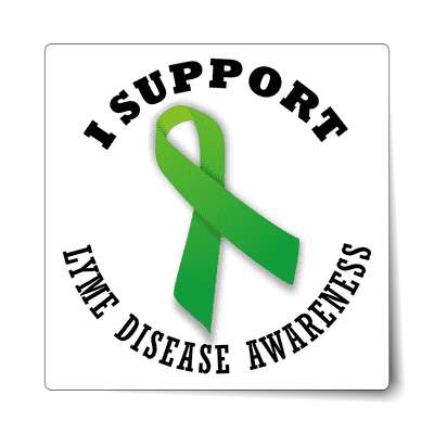 ribbon i support lyme disease awareness sticker
