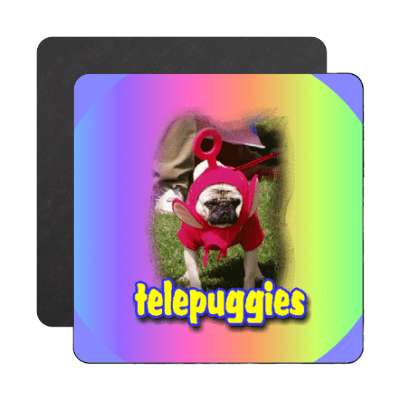 telepuggies rainbow magnet