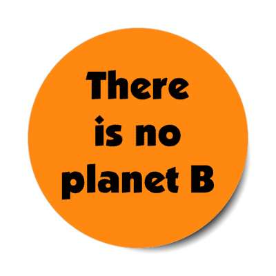 there is no planet b stickers, magnet