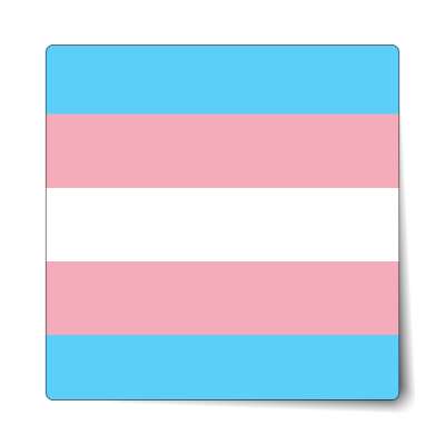 transgender flag sticker
