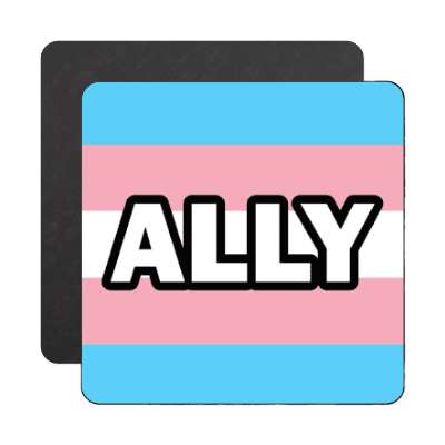 transgender pride flag trans ally magnet