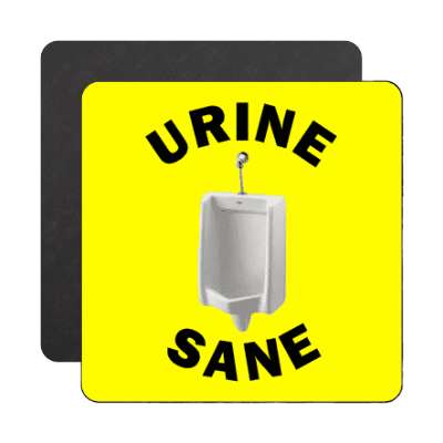 urinal urine sane magnet