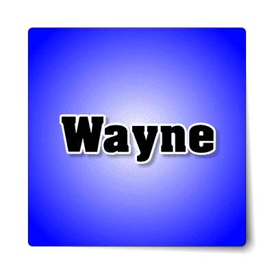 wayne male name blue sticker