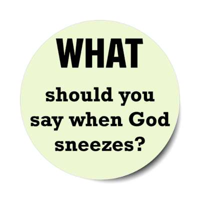 what should you say when god sneezes stickers, magnet