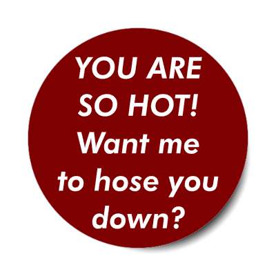 you are so hot want me to hose you down sticker