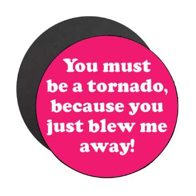 you must be a tornado because you just blew me away magnet