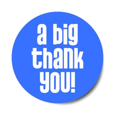 a big thank you stylish modern blue stickers, magnet