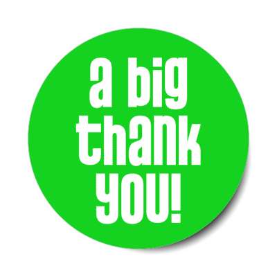 a big thank you stylish modern green stickers, magnet