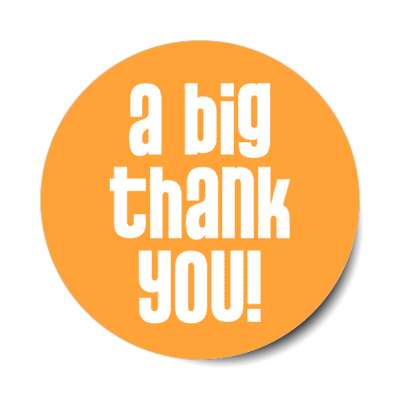 a big thank you stylish modern orange stickers, magnet