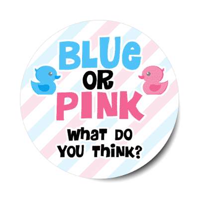 blue or pink what do you think rubber duckies boy or girl gender reveal stickers, magnet