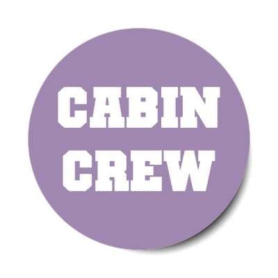 cabin crew airplane aviation stickers, magnet