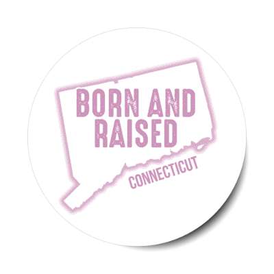 connecticut born and raised state outline stickers, magnet