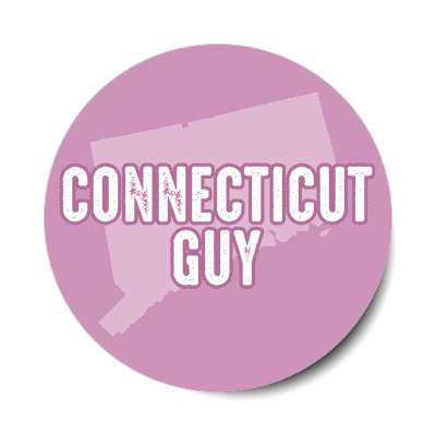 connecticut guy us state shape stickers, magnet